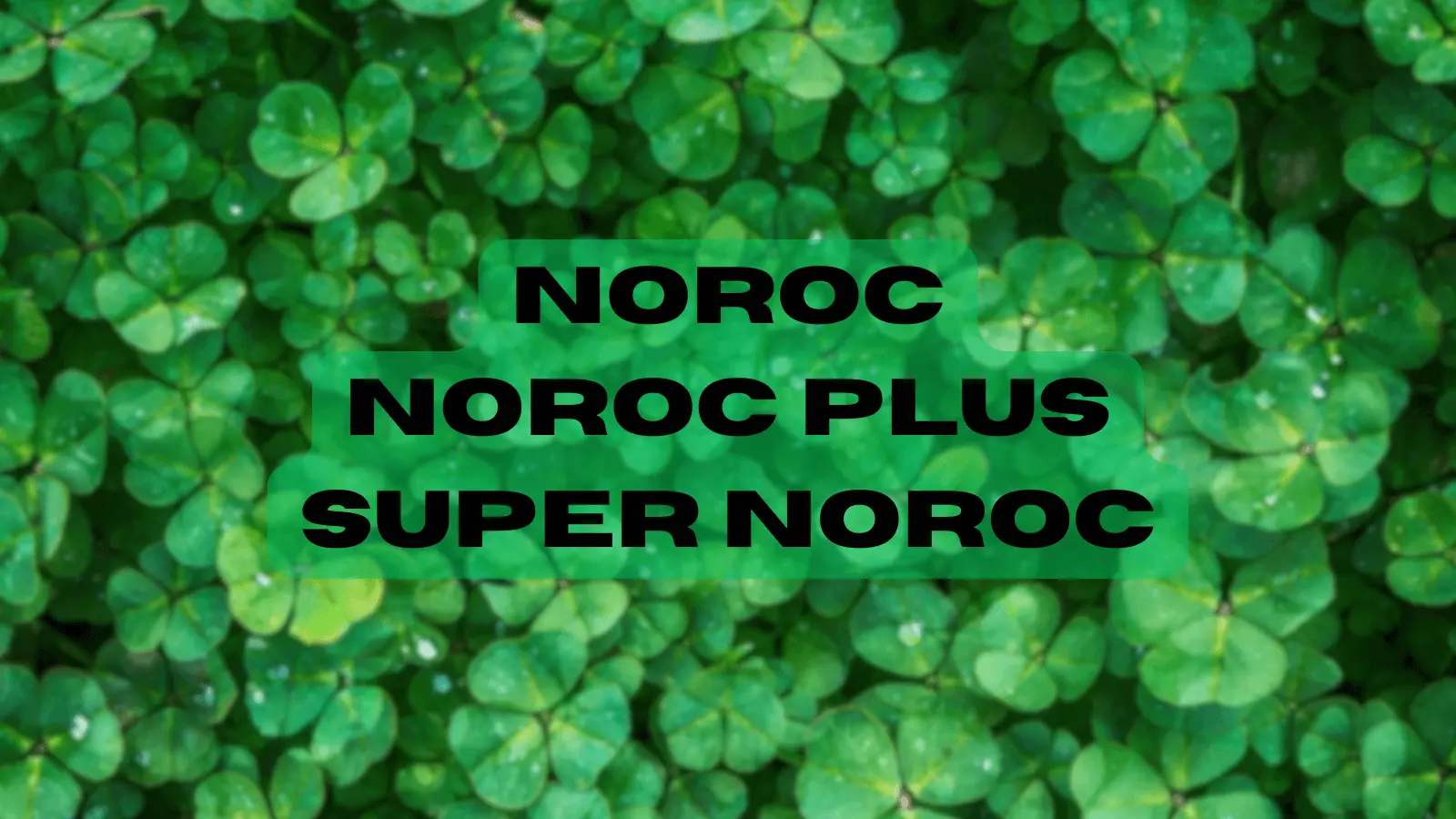 Noroc, Noroc Plus și Super Noroc: Cum adaugă acestea valoare experienței de joc la Loto?